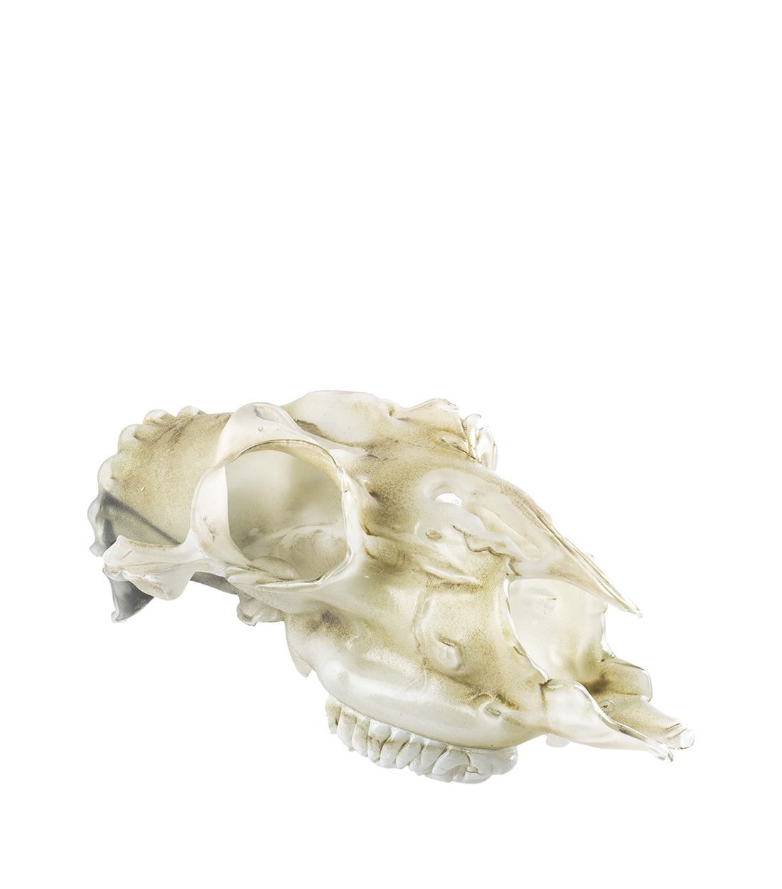 JIRI PACINEK - Shadow of the Spirit - Gothic Skull Exquisite Handicraft.