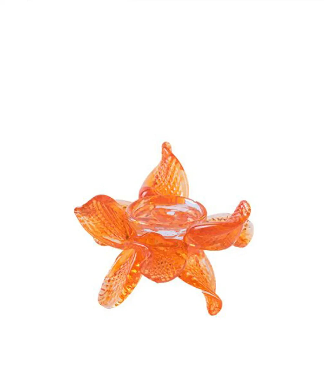 JIRI PACINEK - The star from the sea - Sleek Design with a Stunning Orange Hue